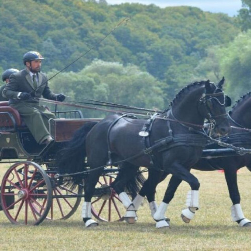 Herghelia Beclean câștigă locul 1 pe țară în competiția națională