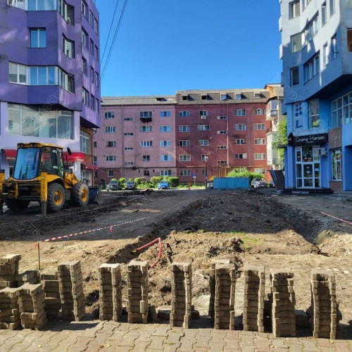 Medicul Constantin Anton cere explicații după tăierea copacilor din centrul Bistriței