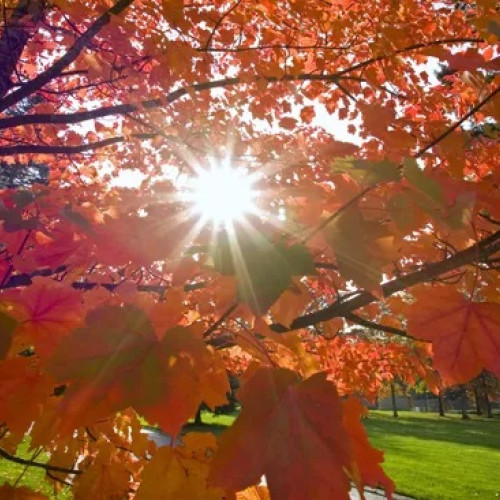 Echinocţiul de toamnă va avea loc pe 22 septembrie, România trece la ora de iarnă pe 25 octombrie