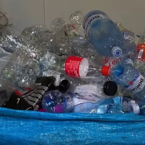 O tânără din Florești și-a găsit sacul cu sticle pentru reciclare furat din curte