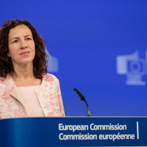 PSD propune scheme europene pentru tinerii absolvenți în programul de relansare economică