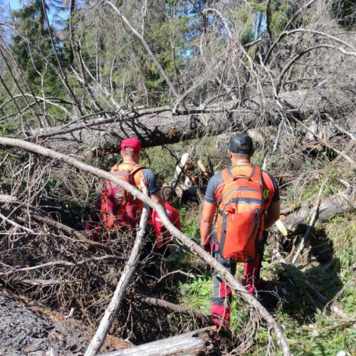 Salvamont și voluntarii sprijină evenimentul montan în Prundu Bârgăului
