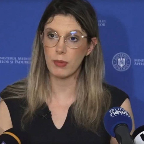 Pădurari condamnați pentru furt, concediați după ani de muncă la Romsilva