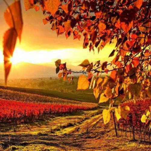 Echinocțiul de toamnă va avea loc luni, 22 septembrie, la ora 21:19