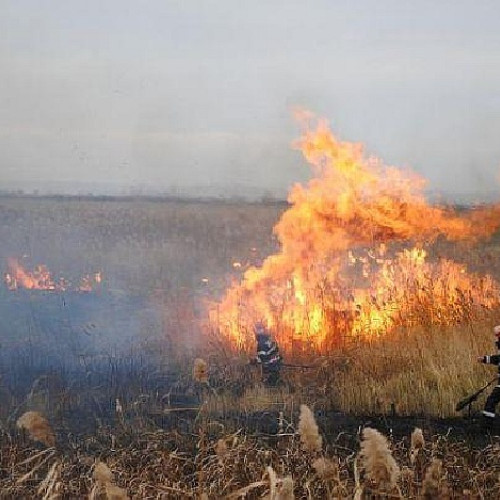 Incendiu de vegetație în Moldoveni necesită intervenția pompierilor