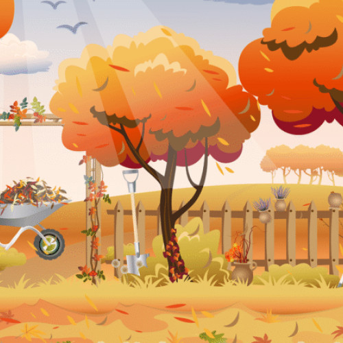 Semințele de calitate, cheia pentru grădinărit sănătos și roșii gustoase