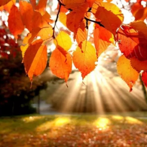 Echinocțiul de toamnă are loc în această seară, la ora 21:19