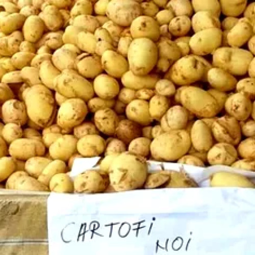 Diferențe mari de preț la cartofi în piețele din marile orașe din România