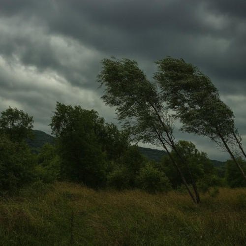 Cod galben de vânt emis în zona montană și comunele din Arad