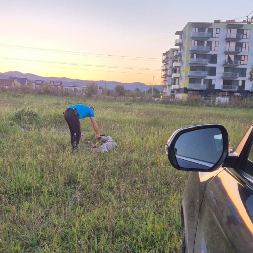 Doi bărbați dispăruți, găsiți de jandarmii din Timișu de Sus și Râșnov