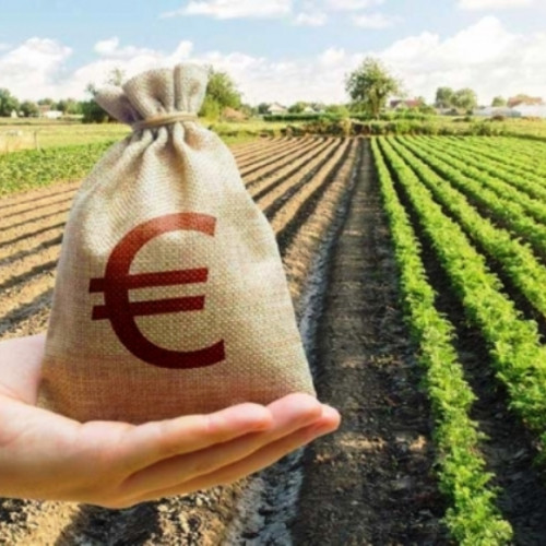 Fermierii trebuie să semneze cererile de plată pentru Campania 2025 până pe 30 septembrie