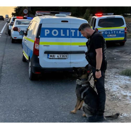 Bărbat din Hârșova arestat la Mihail Kogălniceanu pentru mandat european din Germania