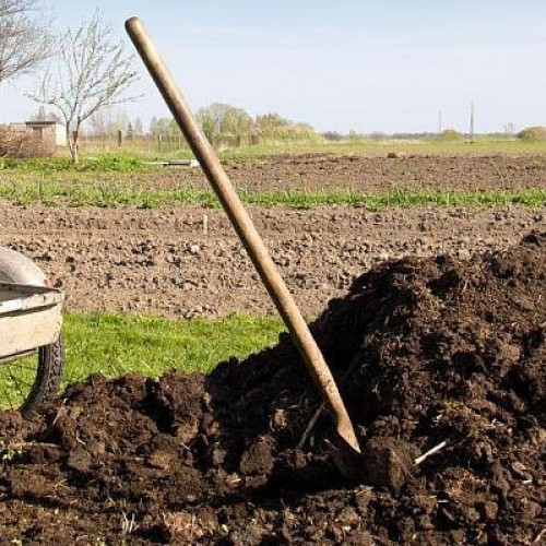 DN Agrar vizează producția de peste 150 milioane litri de lapte și agricultură circulară