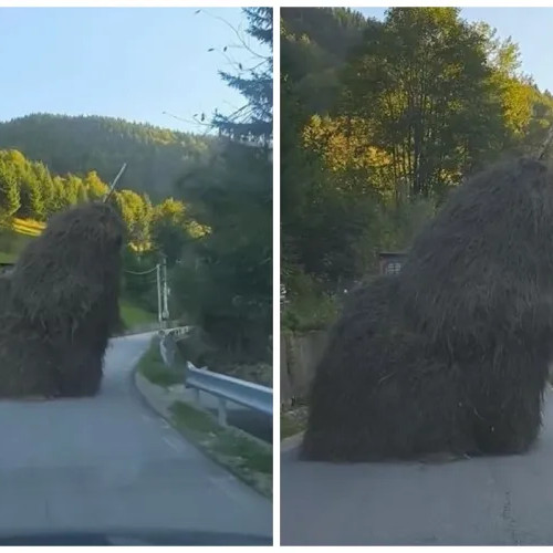 Căpiță de fân rotundă surprinsă pe un drum de munte din Cluj
