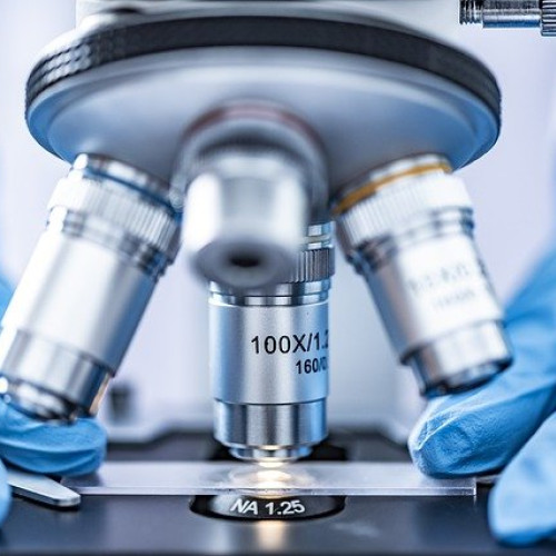 Universitatea din București organizează Noaptea Cercetătorilor Europeni în peste 20 de orașe