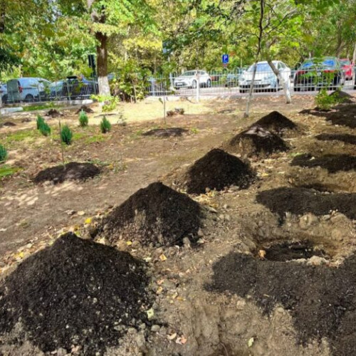 Primăria Sectorului 3 oferă compost pentru grădinile asociațiilor de proprietari