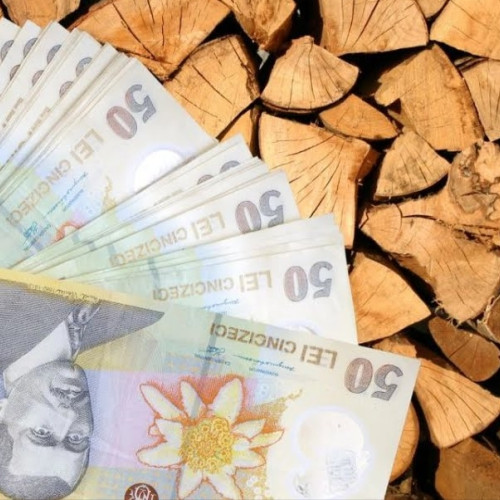 Gorjenii cumpără masiv lemne de foc în ciuda creșterii TVA-ului la 11%