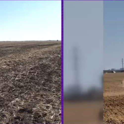 Seceta severă afectează însămânțarea și culturile în sudul României