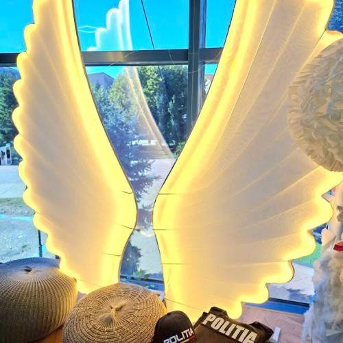 Campania „Pe aripile legii” a fost lansată pentru educația juridică a tinerilor în Gorj