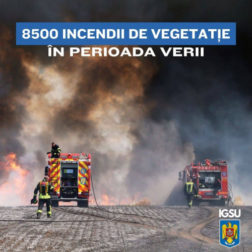 ISU Dâmbovița avertizează asupra creșterii incendiilor de vegetație în sud-estul țării