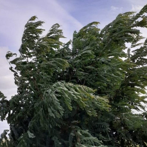 Vreme rece și vânt puternic anunțate în toată țara până joi seara