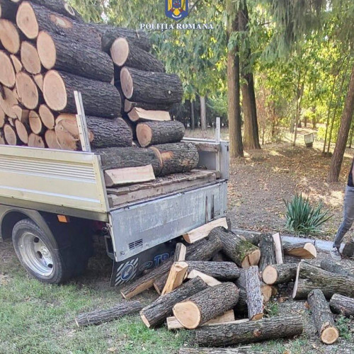 Bărbat sancționat pentru transport ilegal de lemn în Braniștea, Dâmbovița