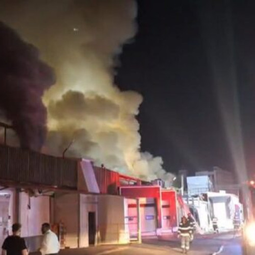 Medicul Beatrice Mahler recomandă monitorizarea simptomelor după expunerea la fum de la incendiu