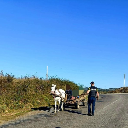 Acțiune de control în Coroieni cu 15 sancțiuni aplicate pentru nereguli rutiere