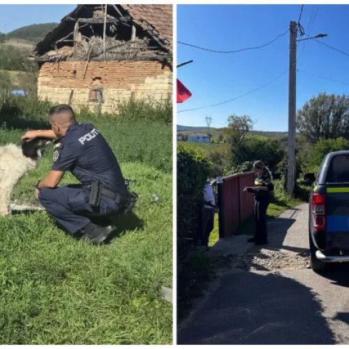 Polițiștii din Cluj au sancționat 21 de deținători de animale în Panticeu
