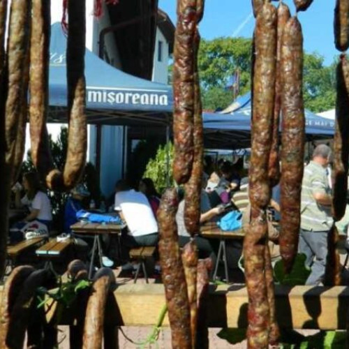 Festivalul Cârnaților de Pleșcoi la a XII-a ediție, pregătiri în toi la Berca