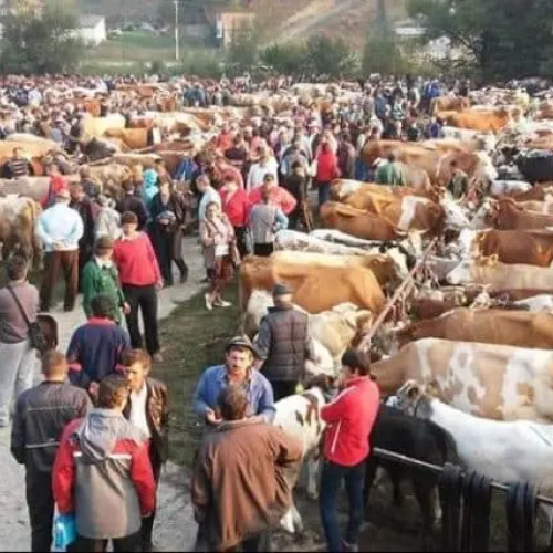 Târgurile din Buzău continuă să interzică vânzarea animalelor din cauza pestei porcine