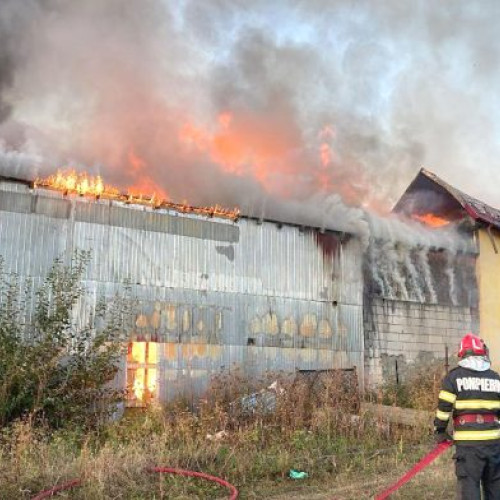 Incendiu puternic la o locuință și depozit din Iordăcheanu, fără victime