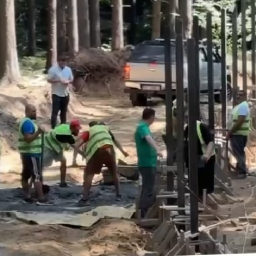 Sanctuarul pentru urși din Masivul Postăvaru ar putea fi finalizat în acest an