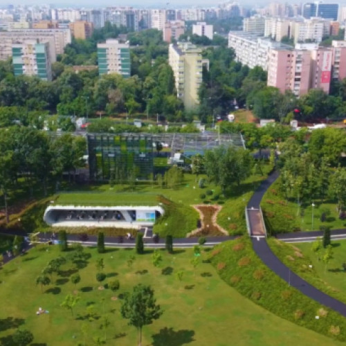 Proiect pentru creșterea amenzilor și modernizarea protecției spațiilor verzi în București
