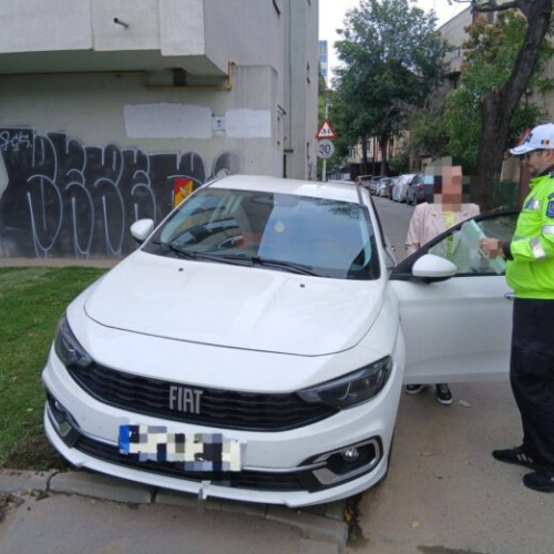 Primăria Sectorului 2 a încheiat amenajarea spațiilor verzi de pe Bulevardul Ferdinand