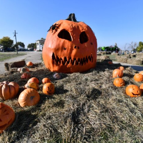 West Side Hallo Fest 2024 aduce spectacol și mister pe Lacul Morii în octombrie