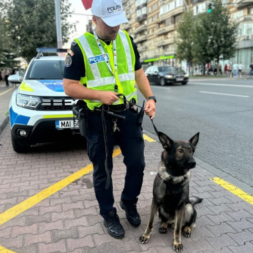 Elevii din Baia Mare au ajutat la respectarea regulilor de circulație în trafic