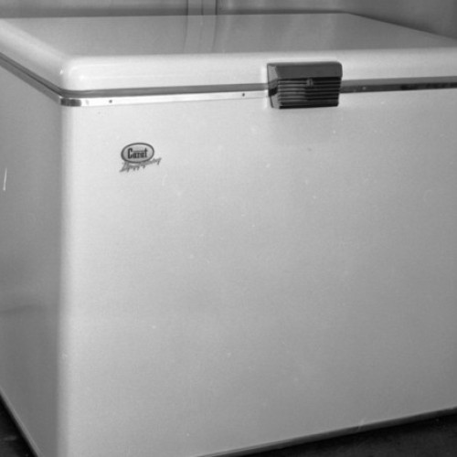 O femeie a ținut cadavrul fiicei sale în congelator timp de 20 de ani la Tokyo