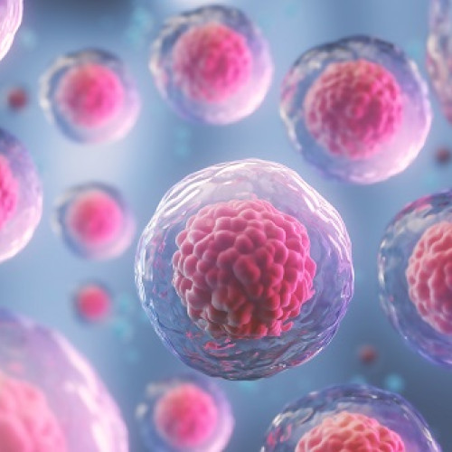 Donatorii de celule stem fără venit, asigurați 10 ani în sistemul de sănătate