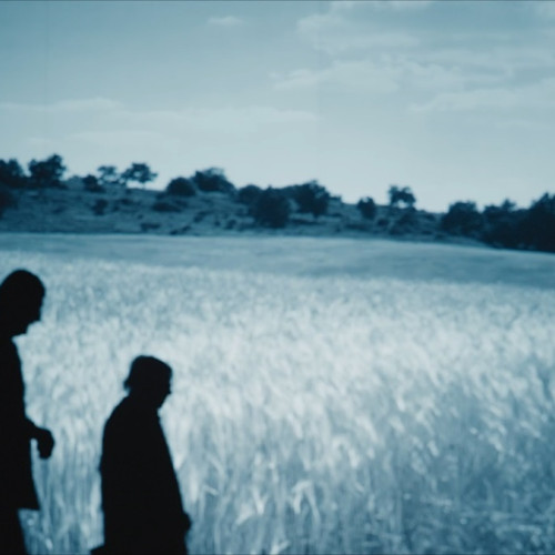 Filmul Pădurea de molizi readuce în atenție masacrul de la Fântâna Albă din 1941