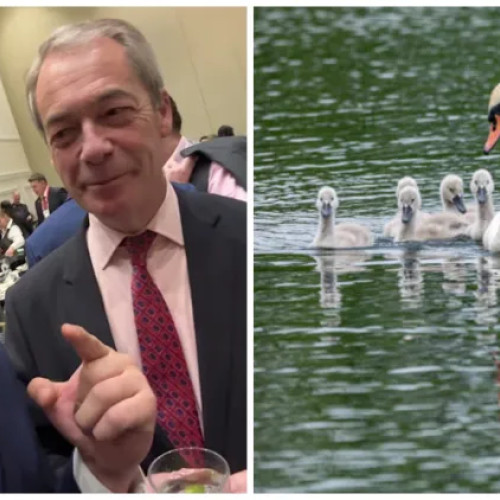 Declarațiile controversate ale lui Nigel Farage despre români provoacă reacții dure