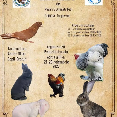 Expoziția locală de păsări și animale mici va fi organizată la Târgoviște