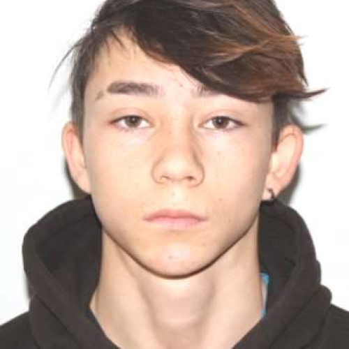 Băiat din Botoșani dispărut după ce a plecat la muncă în Germania