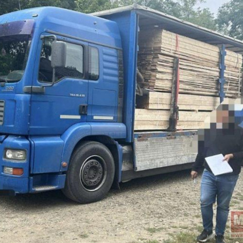 Doi șoferi din Suceava prinși cu lemn fără acte în Botoșani