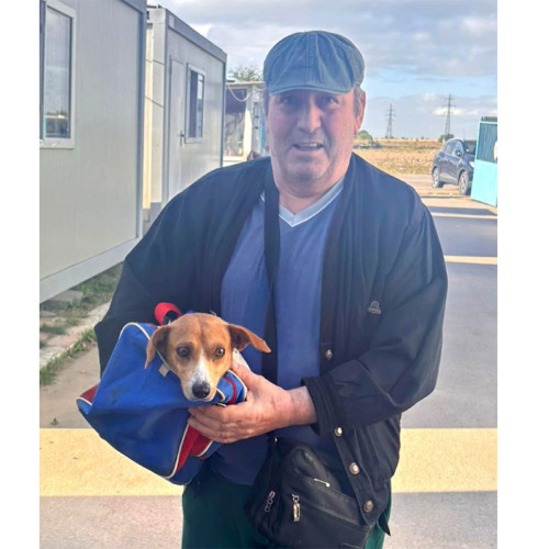 Un cățel adoptat din Constanța începe o nouă viață plină de iubire