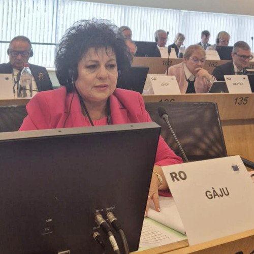 Planul european pentru oțel și metale discutat la Comisia ECON cu participarea primarului din Cumpăna