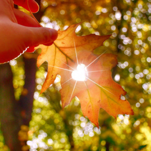 Prognoză meteorologică pentru 29 septembrie - 27 octombrie în România