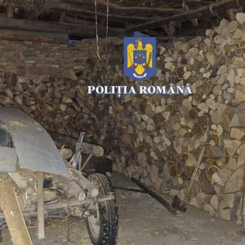 Percheziții ample în județul Sibiu pentru tăiere ilegală de arbori și mită