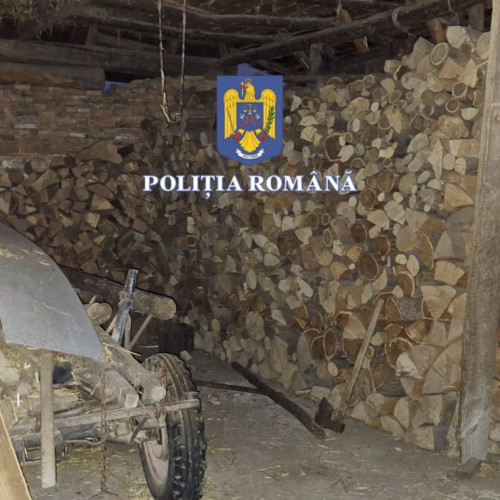 Percheziții ample la Sibiu pentru dare de mită și delapidare în sectorul forestier