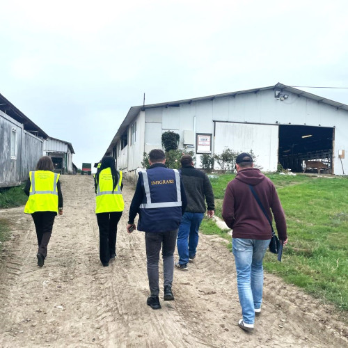 Control asupra firmelor din Botoșani pentru prevenirea migrației ilegale